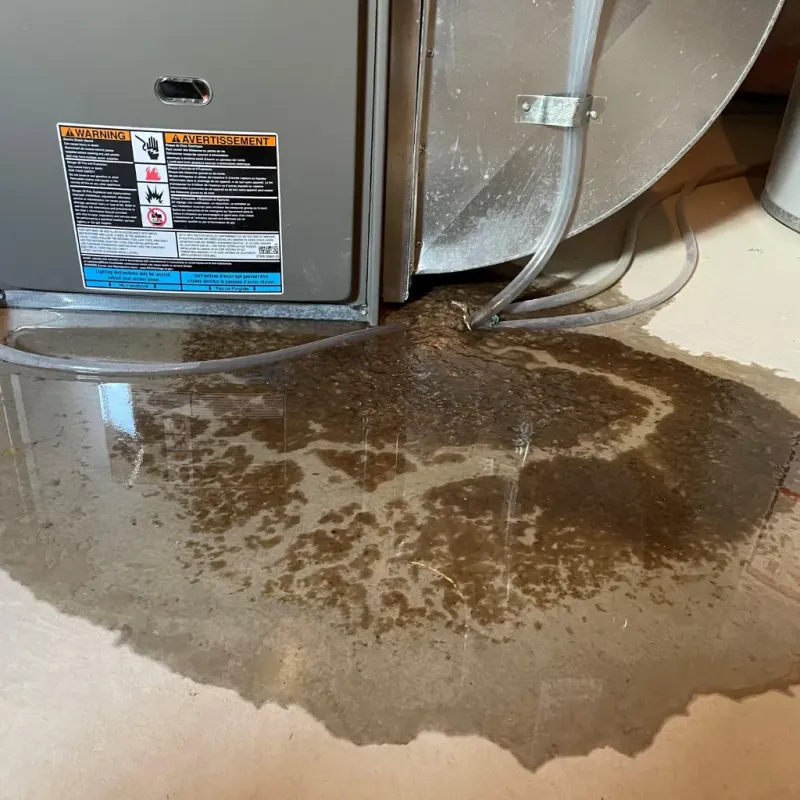 Appliance Leak Cleanup in Auburn, AL